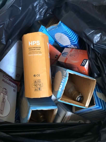 Photo of free Bag of light bulbs (SW18) #4