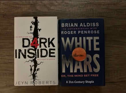 Photo of free 2x Hardback Novels (Lime Gate OL8) #1