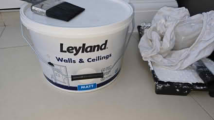 Photo of free White matt paint (E15 Stratford/Plaistow) #1
