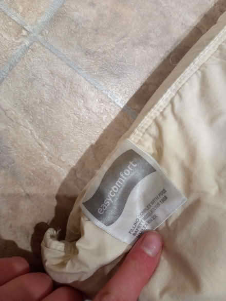 Photo of free Old pillow (High Wood GL6) #3