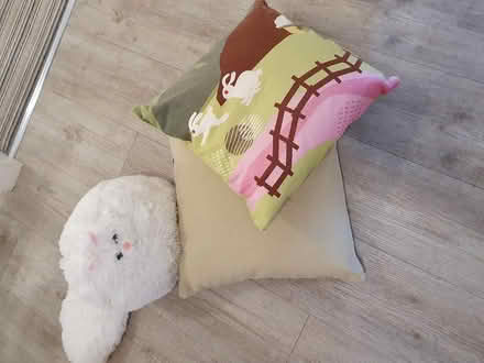 Photo of free 3 cushions (Allington ME16) #2