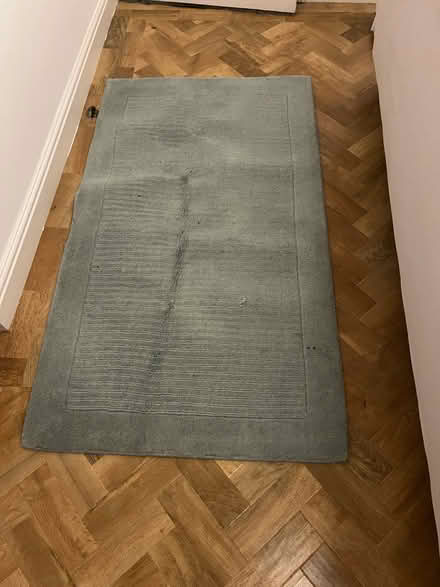 Photo of free Duck egg rug (Beckton E16) #1