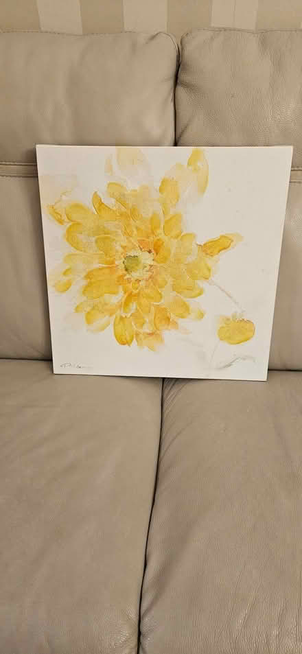 Photo of free Yellow flower canvas. (Slyne-with-Hest LA2) #1