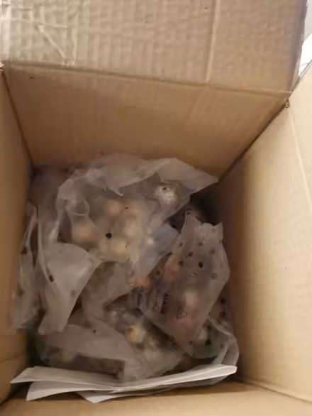 Photo of free Large selection of bulbs ~80 (Whalley range M16 7) #1