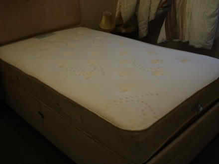 Photo of free 4' bed. (Pensax WR6) #1