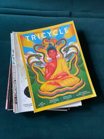 Photo of free Tricycle Buddhist magazines (LA1 Central) #1