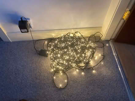 Photo of free Long Set of Christmas Lights (Penwortham PR1) #1