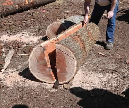 Photo of BIG bits of oak tree trunk (London Rd, HW HP11) #1