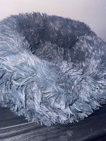 Photo of free Cat/Dog donut bed - Small (W13) #1