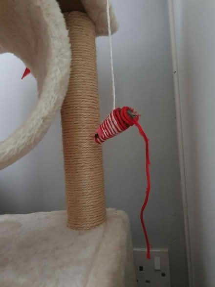 Photo of free Small cat tree (SM7 2) #4