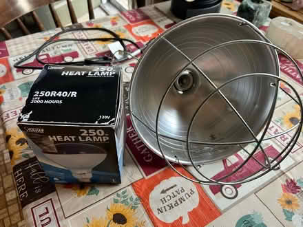 Photo of free Heat lamp for poultry/lambs (Lunenburg) #1