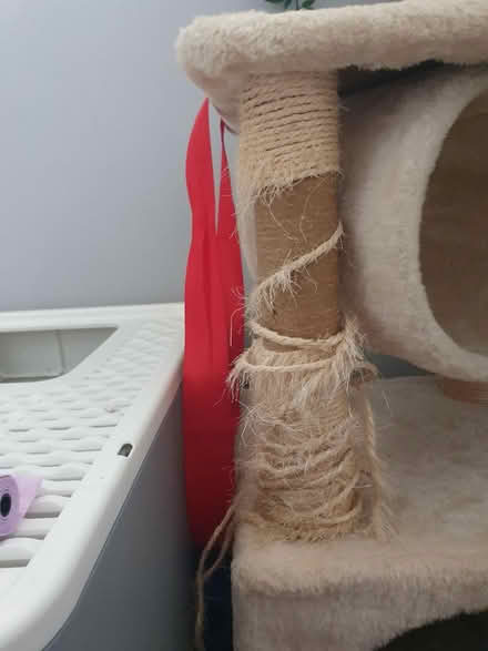 Photo of free Small cat tree (SM7 2) #2