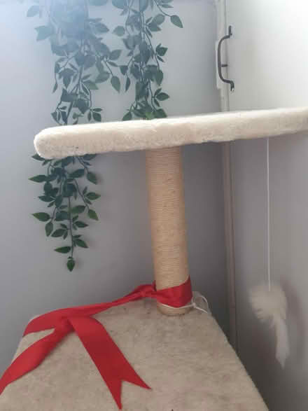 Photo of free Small cat tree (SM7 2) #3