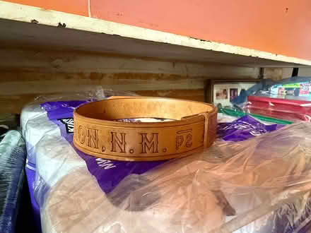 Photo of free Cowhide Belt - Philmont (Terra Linda) #3