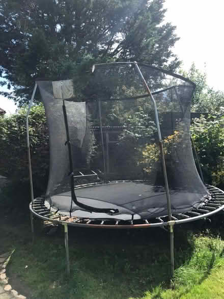 Photo of free Trampoline (PO19 Chichester) #1