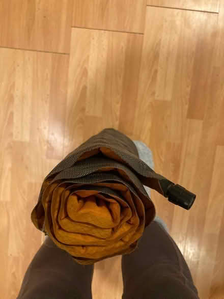 Photo of free Camping gear -- sleeping pad, tent (Silver Spring, by Holy Cross) #1