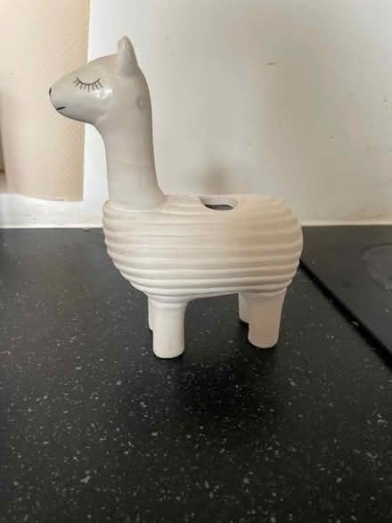 Photo of free Chia llama (Pin Green Industrial Area SG1) #1