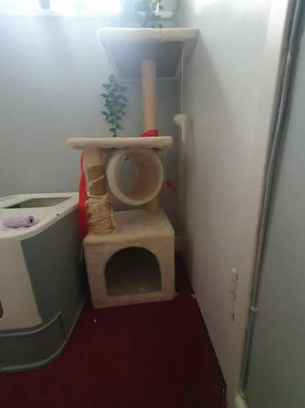 Photo of free Small cat tree (SM7 2) #1