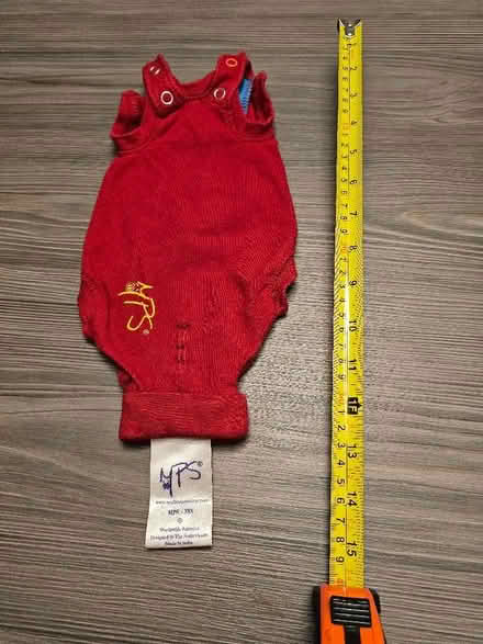 Photo of free Kitten suit for stitches protection (Kempston MK42) #1