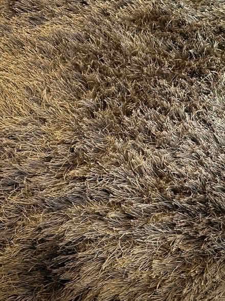 Photo of free Rug 170cm x 120cm (Eccles, M30) #2