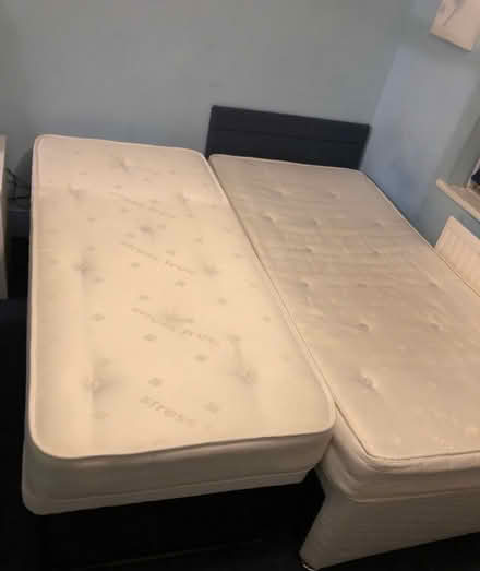 Photo of free Single bed with underneath bed (Chingford E4) #1