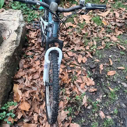 Photo of free Ariana pedal bicycle (ME11) #3