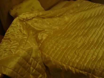 Photo of free Large cream satin bedspread (Pensax WR6) #3