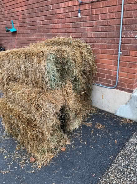 Photo of free Seven bales of hay (K1Y) #1