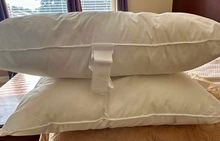 Photo of free Decorative pillows (Southeast Livermore) #1