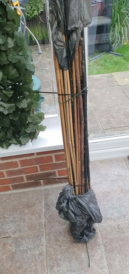 Photo of free Garden canes (Broadwater BN14) #1