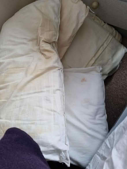 Photo of free Old duvet and pillows (Stirchley B30) #1