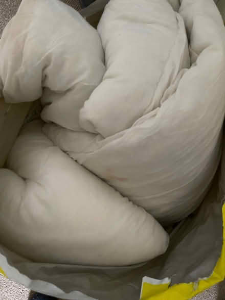 Photo of free 3 pillows and a duvet (L19) #1