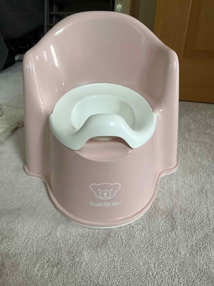 Photo of free Baby Bjorn potty (Petts Wood BR5) #1