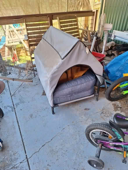 Photo of free Dog bed with mat (Glenroy) #1