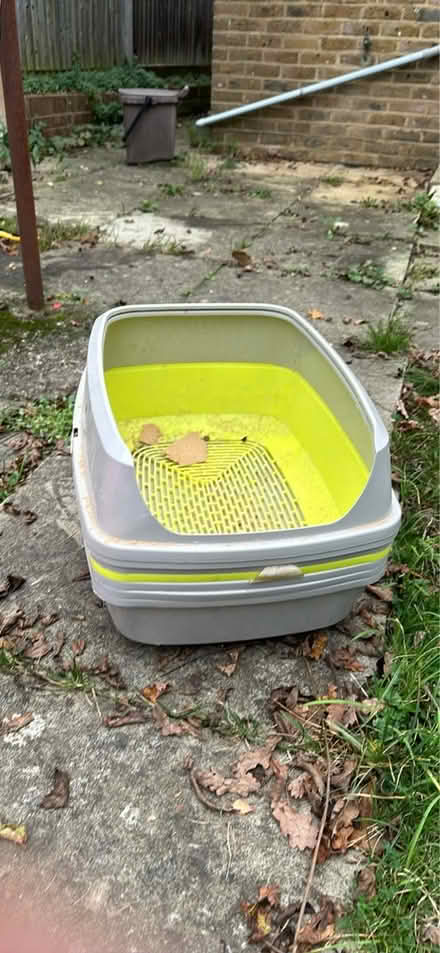 Photo of free Cat litter and sieve x 2 (Sw20) #1
