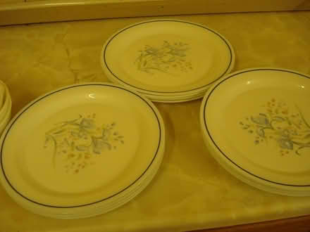 Photo of free 1980s (?) crockery (Pensax WR6) #2