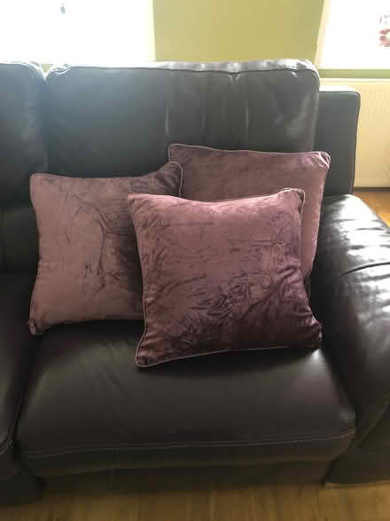 Photo of free Cushions (Molesey KT8) #1