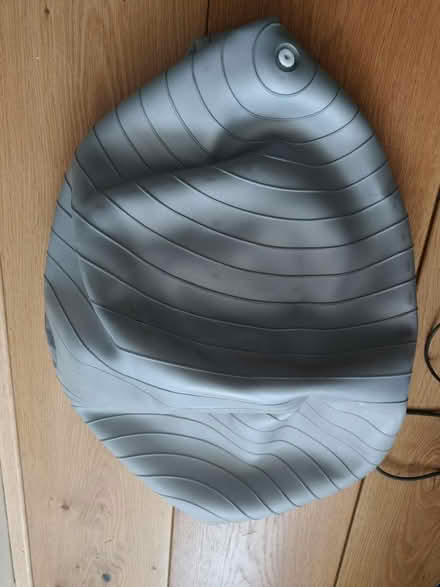 Photo of free Rehab/exercise ball (Elm Grove Brighton) #1