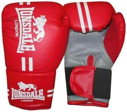 Photo of free Lonsdale boxing gloves, size s-m (Royal Leamington Spa CV32) #1
