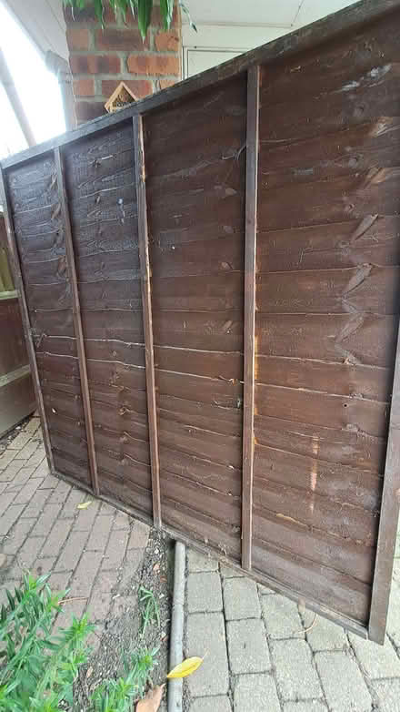 Photo of free Fence Panels (Sudbury CO10) #1