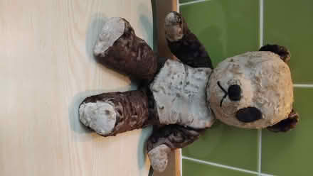 Photo of free Panda, 65 yrs old (West Worthing BN11) #4