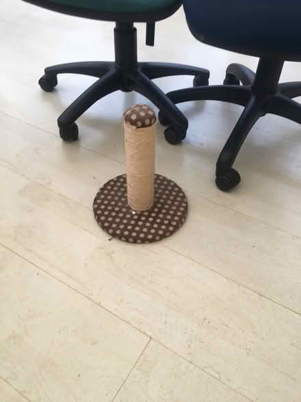 Photo of free Cat scratching post (L22 Waterloo) #1