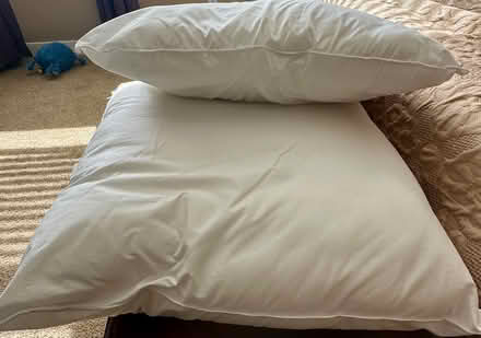 Photo of free Decorative pillows (Southeast Livermore) #2