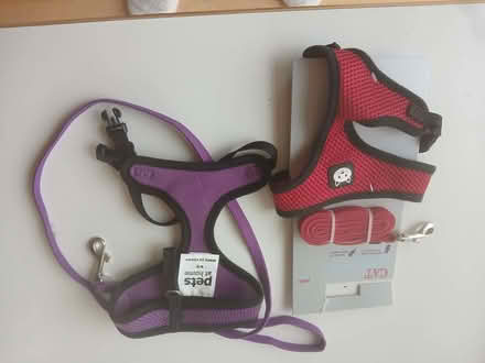 Photo of free Two cat harnesses with leads (West Malvern CP WR14) #1
