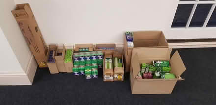 Photo of free Unused lightbulbs (Westminster SW1P) #1