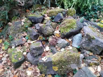 Photo of free Stone from demolished garden wall (Yanwath CA10) #1