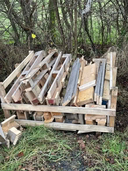 Photo of free Pallets and part pallets (Warkworth NE65) #1