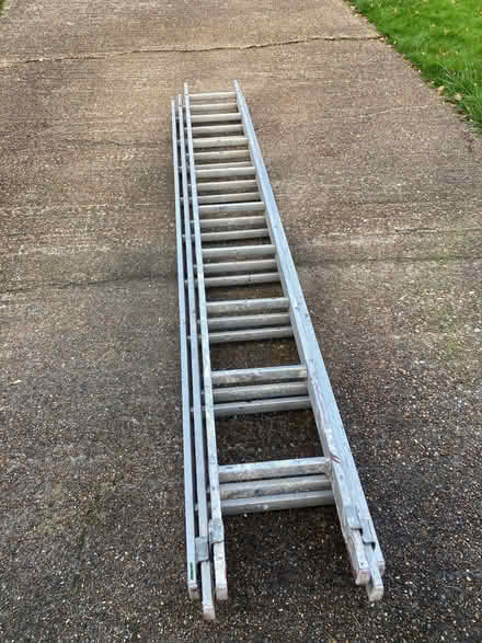 Photo of free Extending ladder (Willingdon BN20) #1