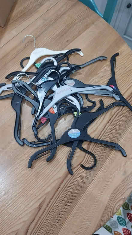 Photo of free Kids coat hangers (Eastergate PO20) #1