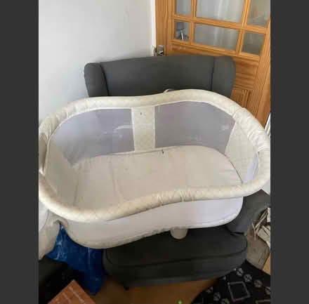 Photo of free Halo baby bassinet (N6 highgate) #1